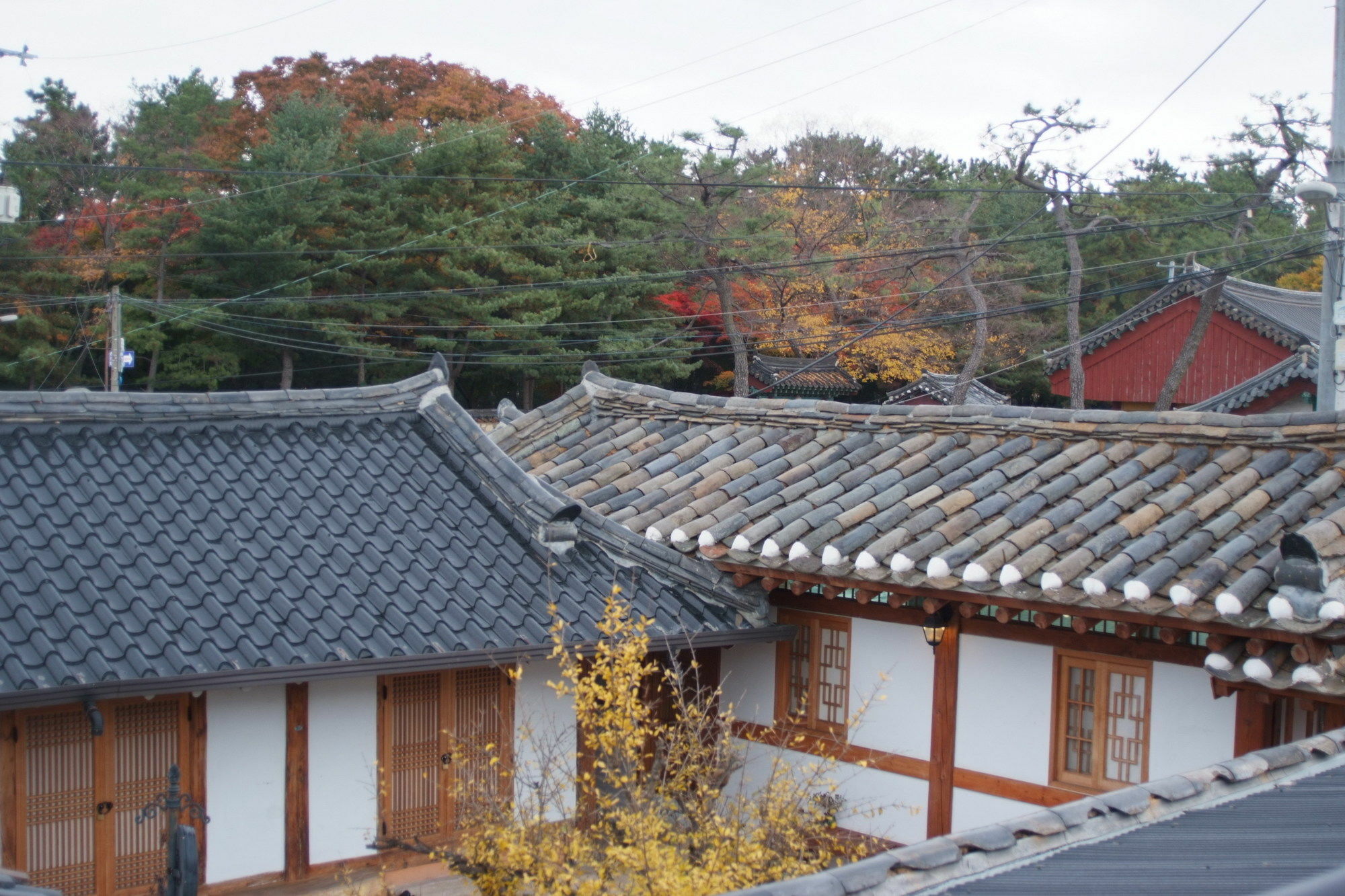 Floral Space Hanok Guesthouse Gyeongju Exterior photo